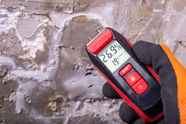 Best Office Mold Removal Services  in Forked River, NJ