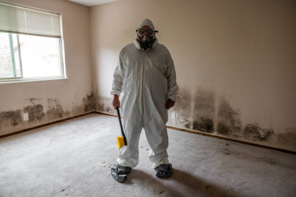 Best Mold Testing and Removal  in Forked River, NJ